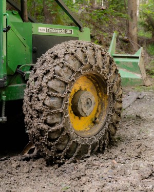 04_john_sauvajon_07_foret_mverret_0646