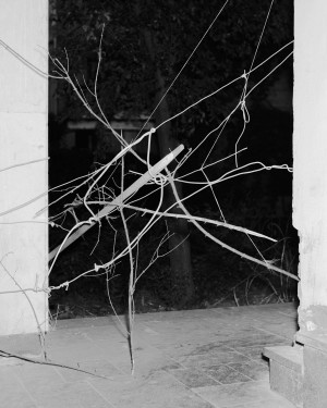 05_levis_tbilisi_mverret_0070