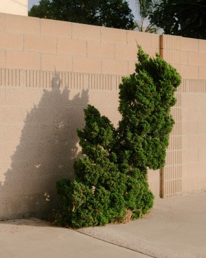 14_mv191115_california_los_angeles_390